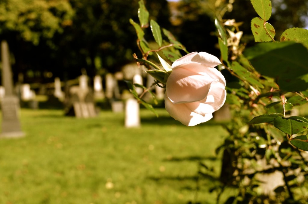 kirkegården